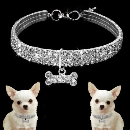 Diamond Collar Pet